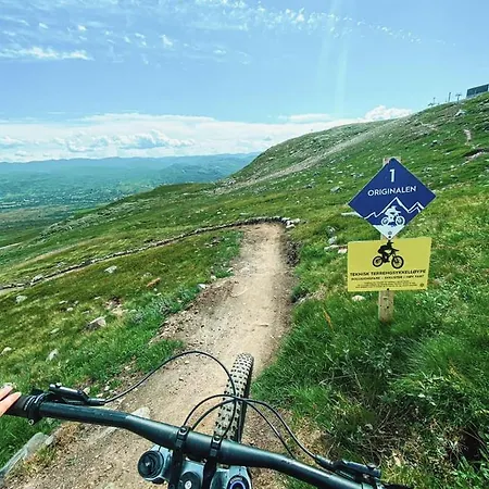 Apartment Ramsbu Utsikt Terasse Selvhushold Hovden (Aust-Agder)